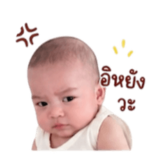 Katan_20260428132204