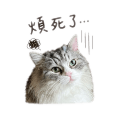 Beasty（厭世篇）