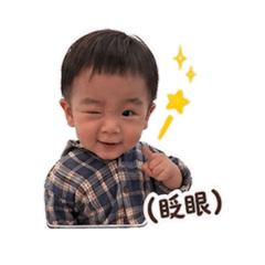 崽的日常2