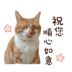 澎澎非常禮貌版