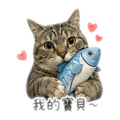 六隻喵喵喵喵喵喵