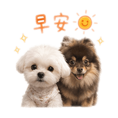 睿睿琪琪
