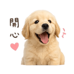 黃金獵犬蔣將