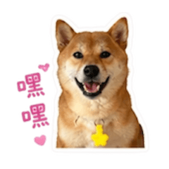 牛  牛