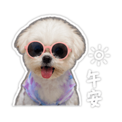 Cutie doggy ball