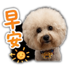 我是寶寶呦