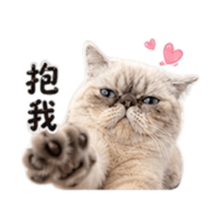 ThaiLumi