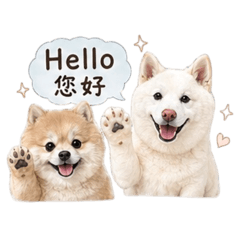 麻糬/花崽的工作回覆