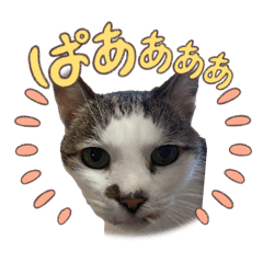 Yu_20260504151718