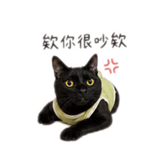 不要惹財哥
