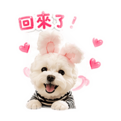 圓仔太Q了