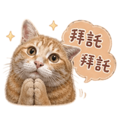 肥嘟嘟柚子日常