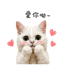 可愛小Miu