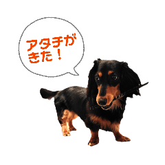 takusta_20260504061712