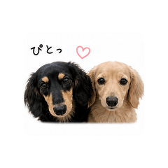 aoi_20260504060713