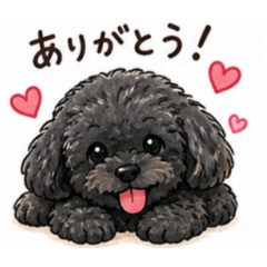 Mofumaru_20260504054505