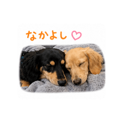 aoi_20260504063442