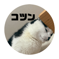 taki_20260504051808