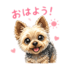 aya_20260504063015