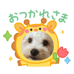 emukun_20260504070852