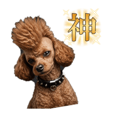 chocorin_20260504072121