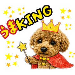 choco_20260504154235