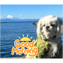 maru peki diary_20260504153659