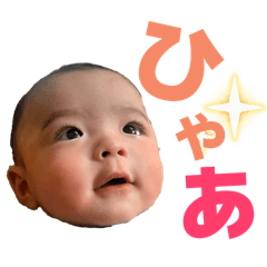 sekky_20260504154119