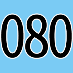 Numbers 080-119