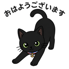 Cute Black Cat Stickers with Tricolore