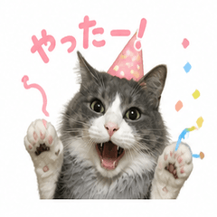 Kaorin's Cute Cat Stickers