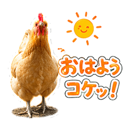 Pipi & Hana's Daily Life Special