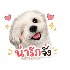 Funny Pepper_20260428132318