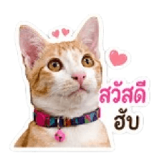 Kaewsiri_20260428132358