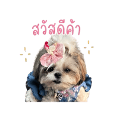 Molly_20260429140255