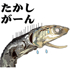 Dried sardine 013