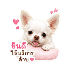 Smothie_hengheng