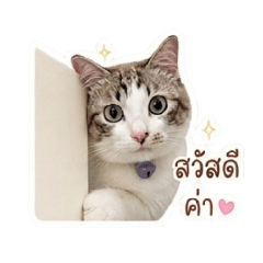 LuckyBlinky