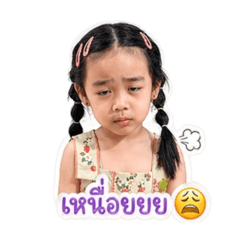 Ha Ha Ha Tevit Ha Ha Ha_20260428132740