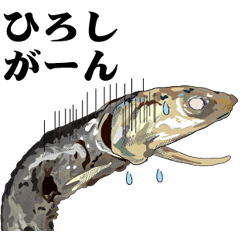 Dried sardine 025