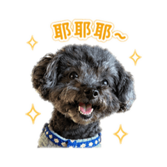 歐歐蕭