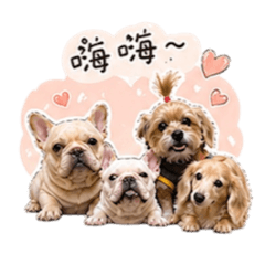 妮妮搗搗