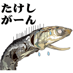 Dried sardine 015