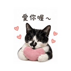 帥氣小逗當網紅