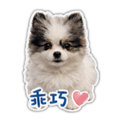 Q寶-2