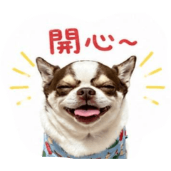 草莓草莓兒