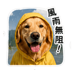 旅行紅燒