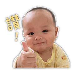 柏菖の日常