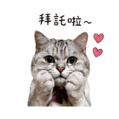 虎大爺