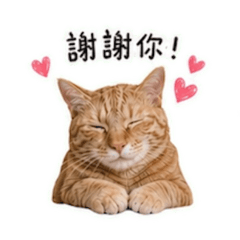 我是王咪醬 我愛尼啊